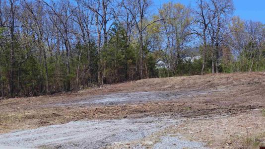 Lots 21 & 22 RIDGEWOOD DRIVE, Mountain Home, Arkansas 72653, Estados Unidos