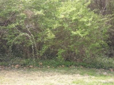 100 S 98th Street, Belleville, Illinois 62223, USA