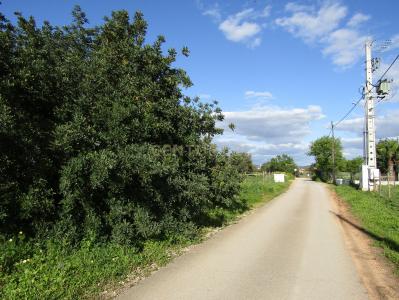 Silves, Faro 8365-083, Bồ Đào Nha