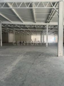 Monterrey, 新莱昂 64000, 墨西哥