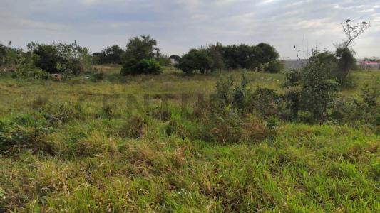 Sur, Santa Cruz 00001, Bolivya
