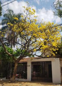 DOMINGO BAÑUELOS 2139, Virgen De La Asunción, Asunción 00001, Paraguay