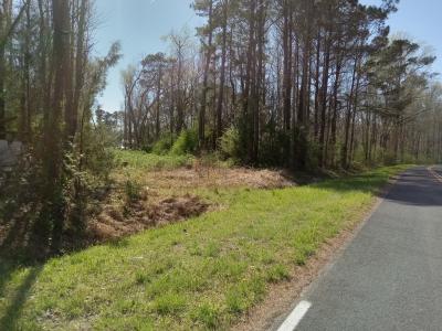 0 SR 1916 & 1917, Aurora, NC 27806, USA