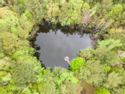 201-b Magasco Drive, Pineland, Texas 75968, USA