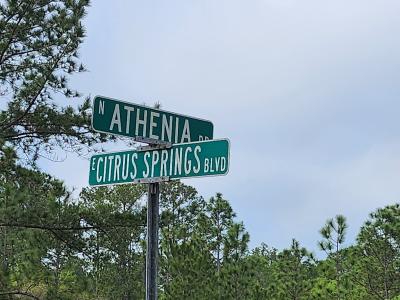 1629 E Citrus Springs Blvd Lot 18, Dunnellon, Floryda 34434, USA