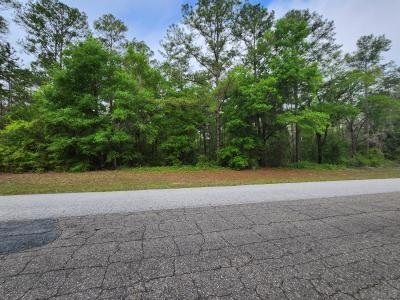 1629 E Citrus Springs Blvd Lot 18, Dunnellon, Floryda 34434, USA