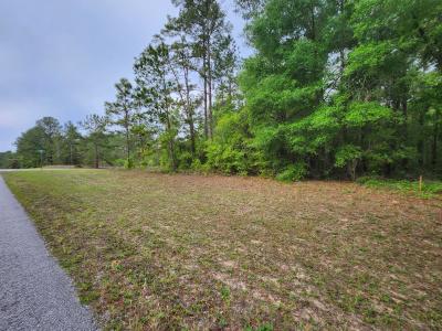 1629 E Citrus Springs Blvd Lot 18, Dunnellon, Floryda 34434, USA