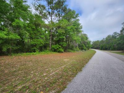 9209 N Athenia Drive Lot 19, Dunnellon, Floryda 34434, USA