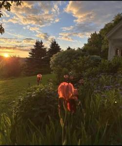 5118 Mack Mountain Road, Cabot, Vermont 05647, USA
