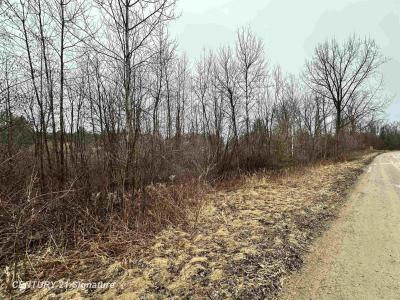 4019 Bay, Beaverton, 미시건 48612, 미국