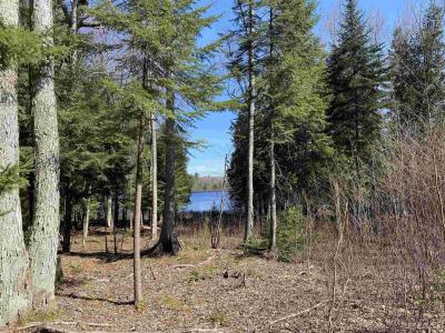 TBD Lot 23 Keweenaw, Lake Linden, Michigan 49945, USA