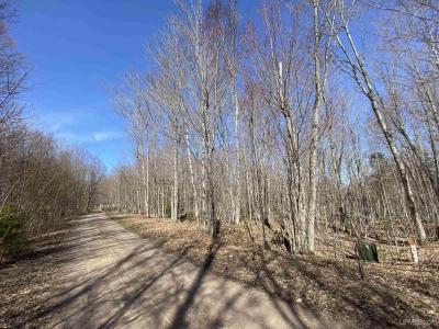 TBD Lot 23 Keweenaw, Lake Linden, Michigan 49945