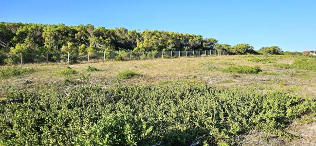 Gansbaai, Western Cape, South Africa