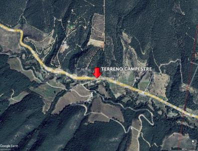 Jame S/N,, Arteaga, コアウイラ 25382, メキシコ