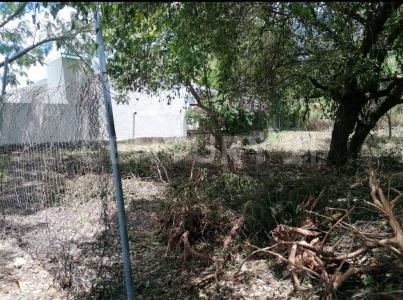 san bartolome n/A,, Xochitepec, Morelos 62790, Mexico