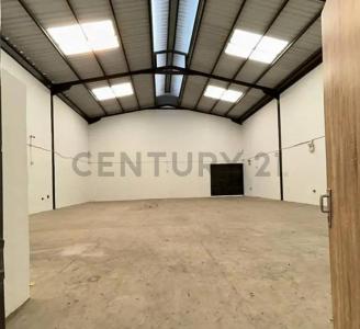 Naguanagua, Carabobo 2005, 委內瑞拉