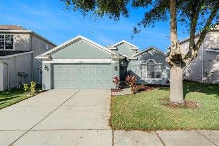 9954 N Jasmine Brook Circle E, Land O Lakes, Florida 34638, USA