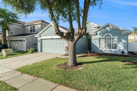 9954 N Jasmine Brook Circle E, Land O Lakes, Florida 34638, Estados Unidos