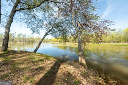 0 Henry Higgins Road, Jackson, Georgia 30233