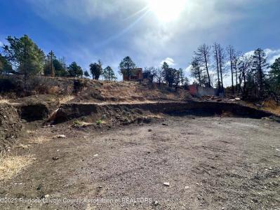 111 Davis Dr, Ruidoso, New Mexico 88345, HOA KỲ