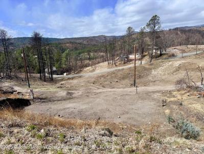 111 Davis Dr, Ruidoso, New Mexico 88345, HOA KỲ