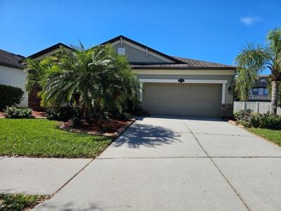 11513 Scarlet Ibis Place, Riverview, Florida 33569, USA