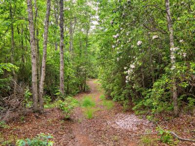999 Long Winding Road, Sylva, 北卡罗来纳州 28779, 美国
