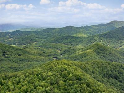 999 Long Winding Road, Sylva, 北卡罗来纳州 28779, 美国
