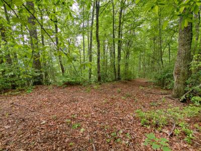 999 Long Winding Road, Sylva, 北卡罗来纳州 28779, 美国