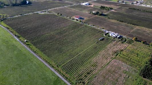10594 FARMS ROAD, Mission, Britisch-Kolumbien V2V 4J1, Kanada