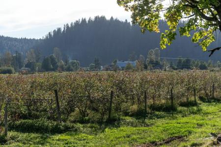10594 FARMS ROAD, Mission, Britisch-Kolumbien V2V 4J1, Kanada