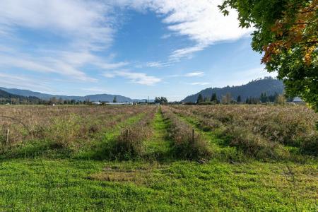 10594 FARMS ROAD, Mission, Britisch-Kolumbien V2V 4J1, Kanada