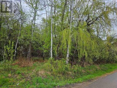 00 MCGEE STREET, Pembroke, Ontario K8A 6C4, Canada