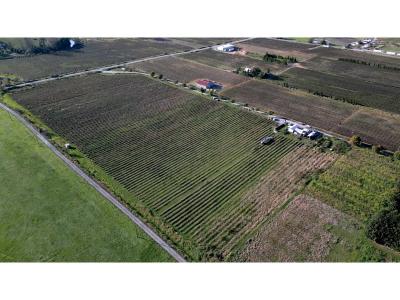 10594 FARMS, Mission, Britisch-Kolumbien V2V 4J1, Kanada