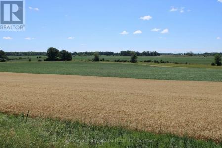LT15-16 COUNTY 1 ROAD WEST, Greater Napanee (greater Napanee), Ontario K7R 3L1, Canada