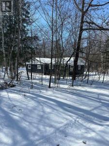 1 WAAGOSH MIIKAANS LANE, Christian Island 30 (beausoleil First Nation), Ontario L9M 0A9, Canada