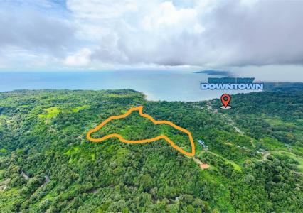 Bahía Drake Osa, Puntarenas 00001, 哥斯達尼加