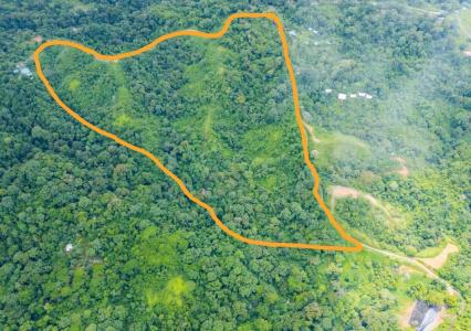 Bahía Drake Osa, Puntarenas 00001, 哥斯達尼加