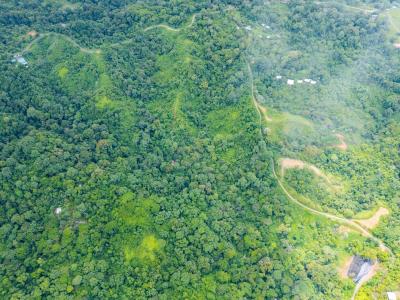 Bahía Drake Osa, Puntarenas 00001, 哥斯達尼加