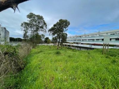 Maia, Porto 4475-364, Portugal