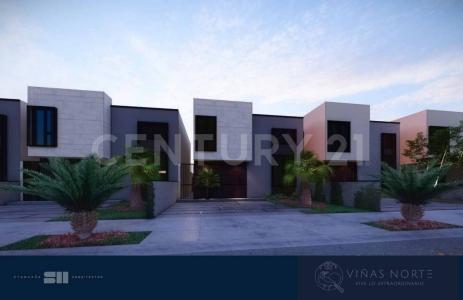 Palmar, Modelo Cabernet entre Rio Fuerte y Rio Presidio,, Ahome, Sinaloa 81228, Mexico