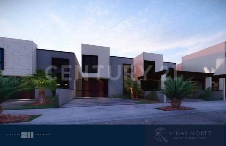 Palmar, Modelo Merlot entre Rio Fuerte y Rio Presidio,, Ahome, Sinaloa 81228, Mexico