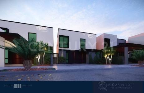 Palmar, Modelo Chardonnay entre Rio Fuerte y Rio Presidio,, Ahome, Sinaloa 81228, Mexico