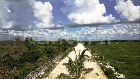 Tablaje 9986 9986,, Dzidzantun, Yucatán 97500, Meksika