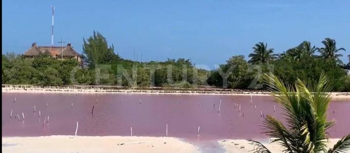 Tablaje 9986 9986,, Dzidzantun, Yucatán 97500, Meksika