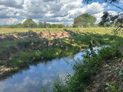 Ñatiuruguasu , Coronel Oviedo, Caaguazú 00001, Paraguay