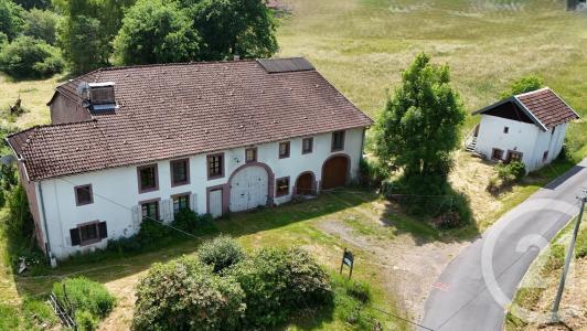 Taintrux, Lorraine 88100, France