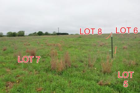 Lot 8 County Road 4287, Winnsboro, Texas 75783, Estados Unidos