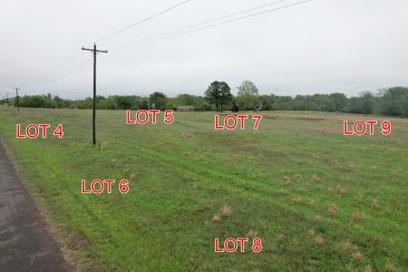 Lot 8 County Road 4287, Winnsboro, Texas 75783, Estados Unidos