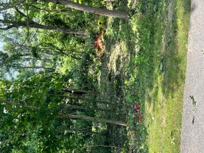 LT 908 Stonegate Dr., Burnside, Kentucky 42519, Estados Unidos